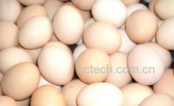 鸡蛋如何清洗 鸡蛋水洗了怎么补救-0