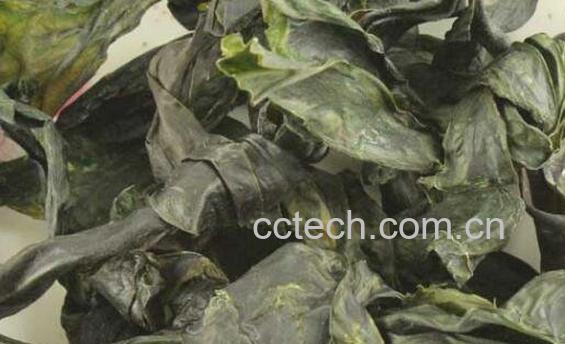 昆布的功效与作用及禁忌-0