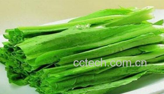 油麦菜怎么做好吃 油麦菜的做法教程-0