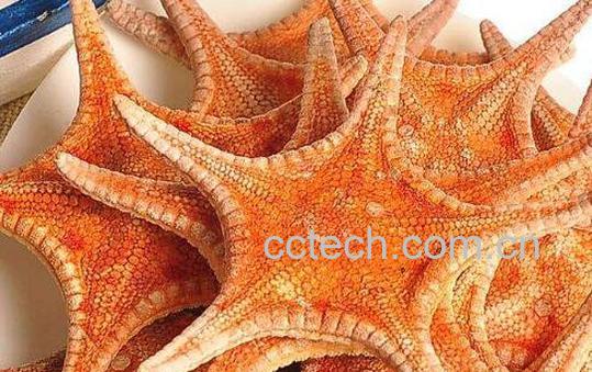 干海星泡酒的方法 干海星泡酒的功效-0