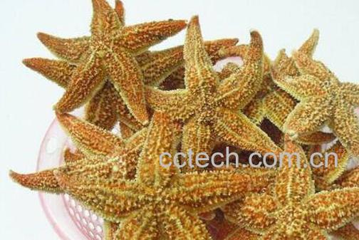 干海星泡酒的方法 干海星泡酒的功效-1