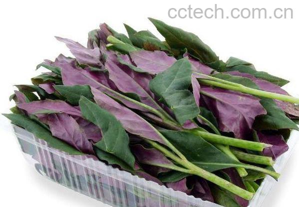 观音菜的功效与作用 -0