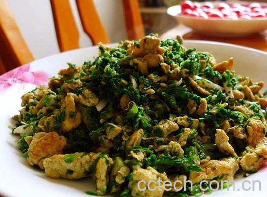 清明菜怎么吃 清明菜怎么晒干-1