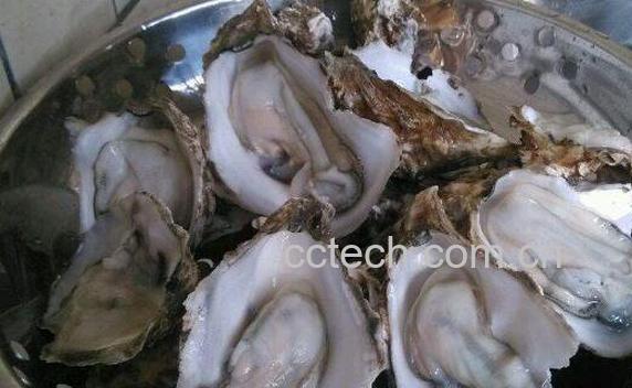 生蚝怎么吃最好 生蚝的食用方法技巧-1