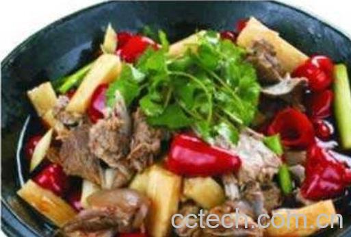  狗肉怎么做好吃 狗肉的家常做法-0