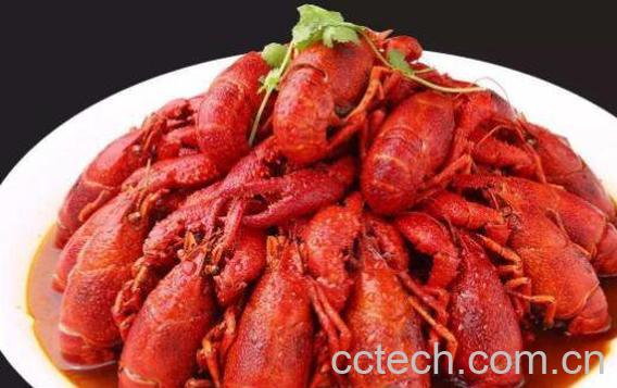 小龙虾怎么吃 小龙虾的正确吃法-0