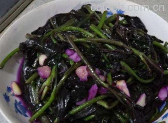 观音菜什么人不能吃 观音菜的营养价值-0