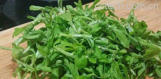 清明菜和艾草的区别-1