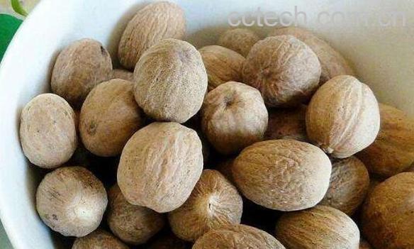 肉蔻和豆蔻的区别-1