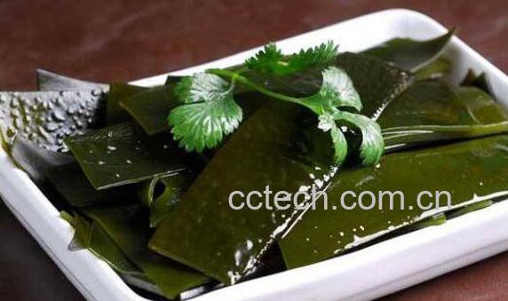 昆布和海带的区别 昆布和海带的功效-0
