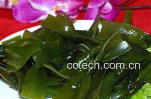 昆布和海带的区别 昆布和海带的功效-1