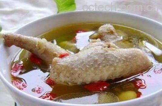 鸽子汤的功效与作用及食用禁忌-1