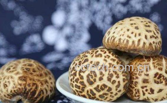 醉花菇如何做好吃 醉花菇的食用方法-1