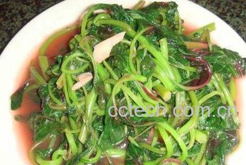 红背菜怎么吃 红背菜的正确做法-1