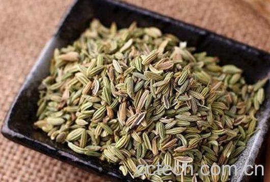 小茴香的功效与作用 小茴香的药用价值-1