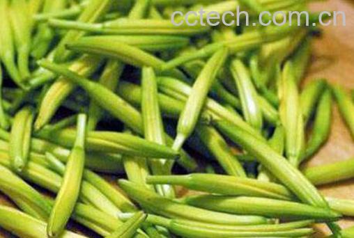 新鲜黄花菜有毒吗 新鲜黄花菜怎么做好吃-0