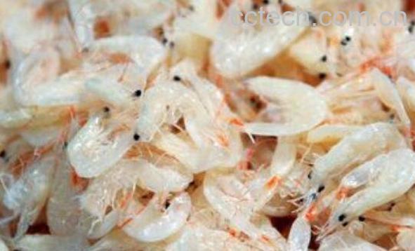 虾皮怎么吃 虾皮的家常吃法技巧-0