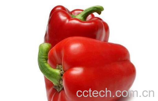 柿子椒的功效与作用-1