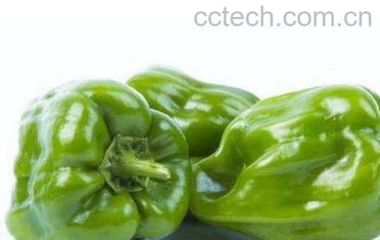 柿子椒的功效与作用-0