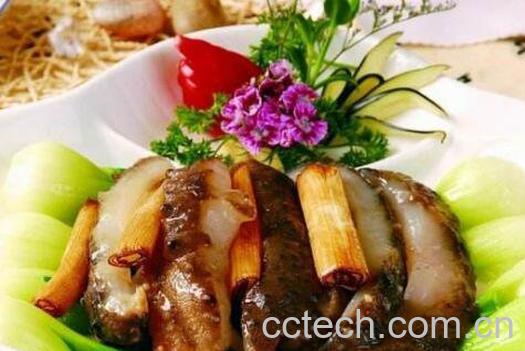 海参怎么做 海参的做法技巧-0