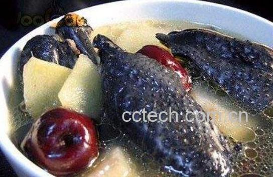 乌鸡对月经有什么好处 吃乌鸡对子宫的好处-1