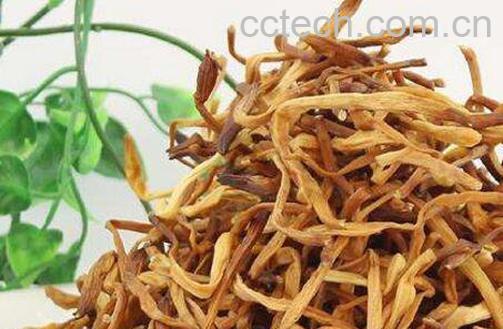 黄花菜的功效与作用 黄花菜有催奶作用吗-1