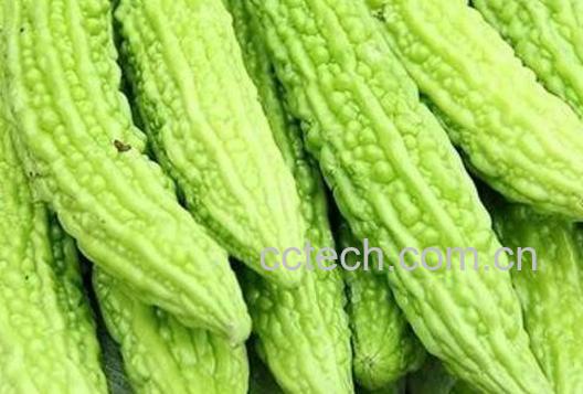 夏至吃什么好 适合夏至吃的食物-0