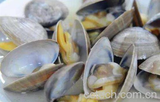 花蛤如何去沙 花蛤吐沙最快的方法-1