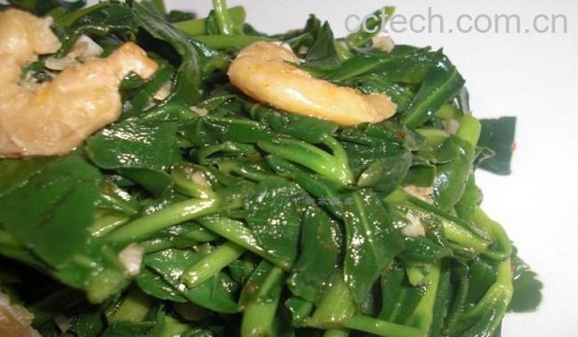 救心菜怎么吃 救心菜的家常吃法-1