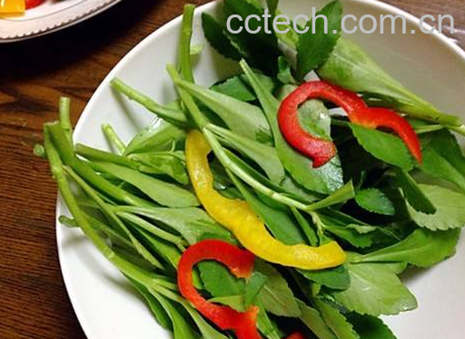 救心菜怎么吃 救心菜的家常吃法-0