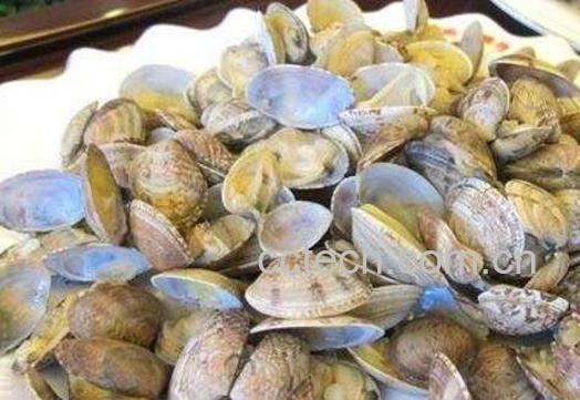 蛤蜊的功效与作用 吃蛤蜊的副作用-1