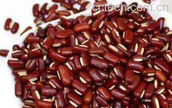 赤小豆的功效与作用及食用方法-1