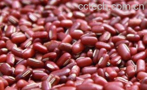 赤小豆的功效与作用及食用方法-0