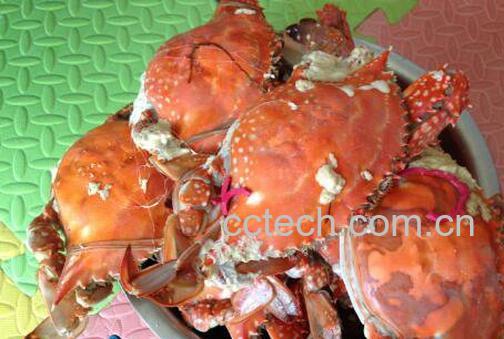 螃蟹不能和什么一起吃 吃螃蟹的禁忌-1