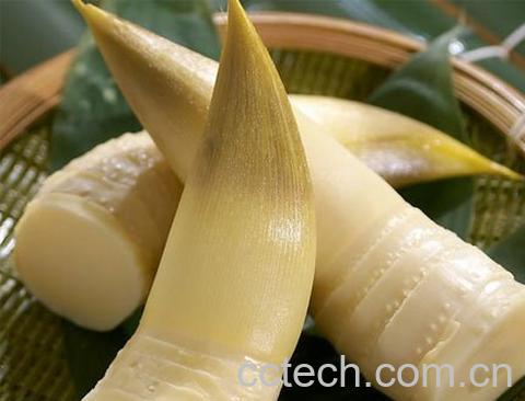 竹笋的营养价值-1