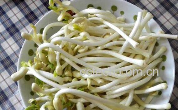 花生芽的功效与作用及食用方法-1