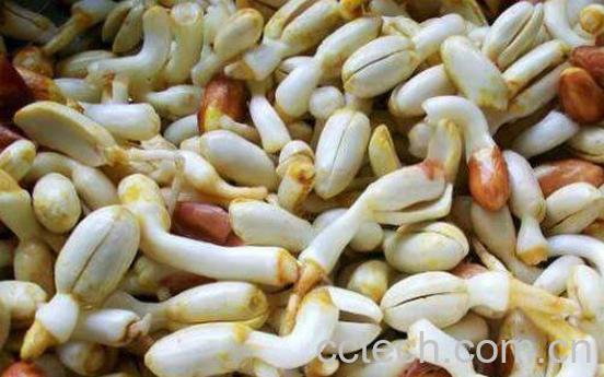 花生芽的功效与作用及食用方法-0