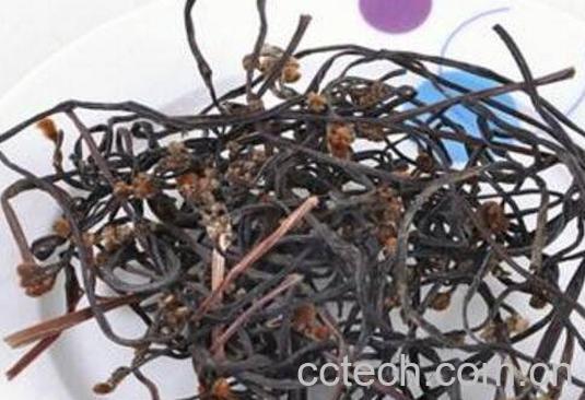 蕨菜干煲汤的功效与作用-0