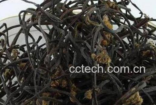 蕨菜干煲汤的功效与作用-1