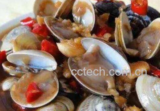 文蛤的功效与作用 文蛤的做法-0