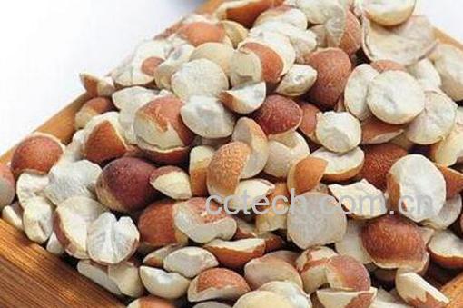 鸡头米的功效与作用-0