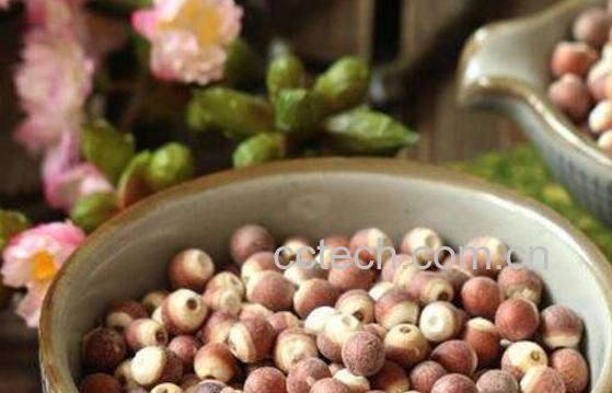 芡米和芡实有什么区别 芡米怎么吃好-0