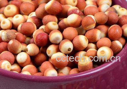 芡米和芡实有什么区别 芡米怎么吃好-1