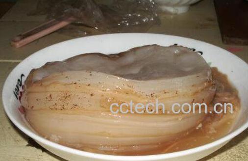 红茶菌的功效与作用 红茶菌的危害-1