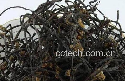 蕨菜干怎么制作 蕨菜干的常见做法-0