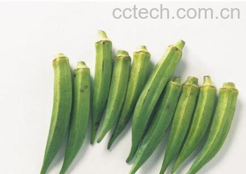 秋葵有什么功效 吃秋葵的功效与作用介绍-1