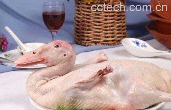 鸭肉的功效与作用及食用禁忌-0