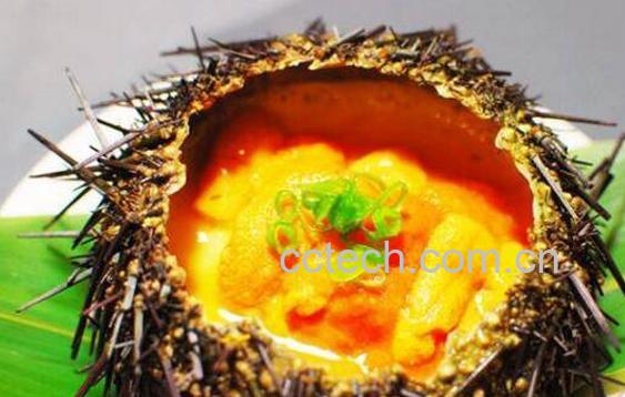 海胆如何吃 海胆的吃法和食用方法-0