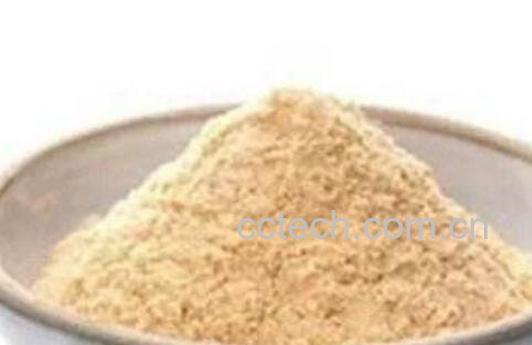 酵母粉是什么 酵母粉的用途-1