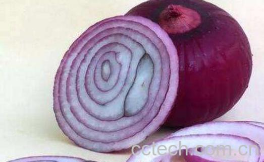 洋葱水的功效与作用-0